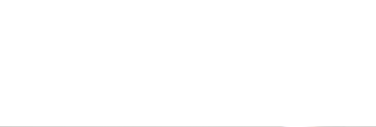OVERSEAS CANNED BEER