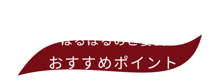 はるばるのご宴会おすすめポイント